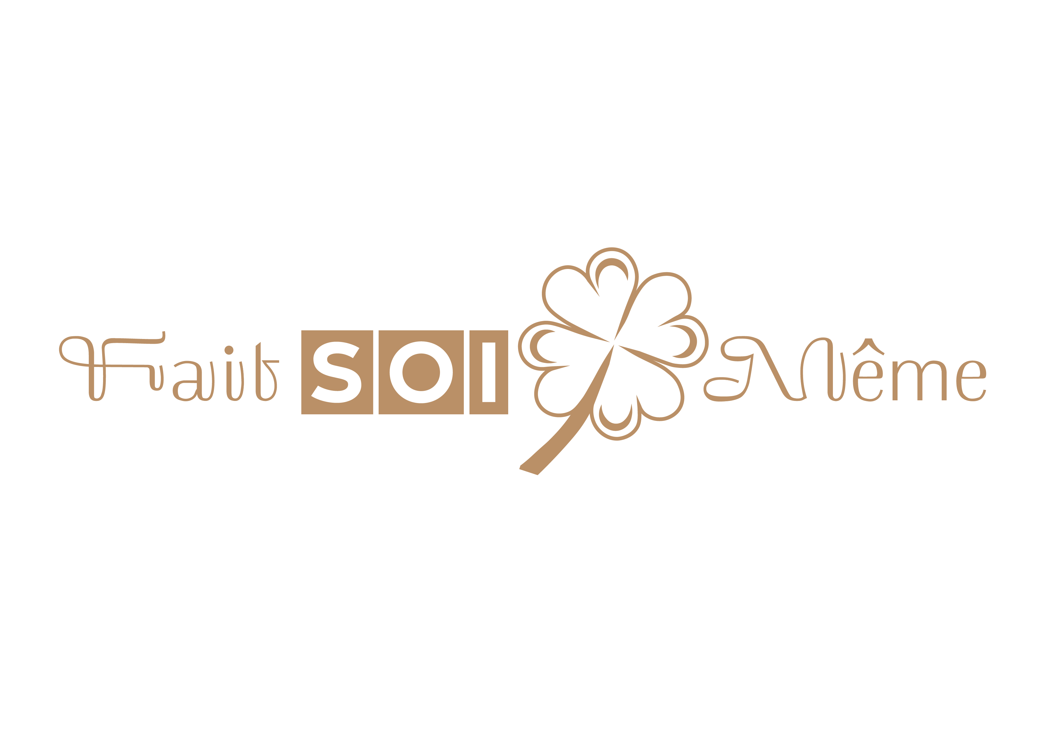 Logo Fait soi Même best